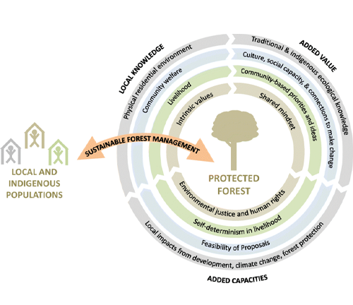 A circular diagram illustrating the integration of local and indigenous populations in sustainable forest management for protected forests. 