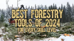 Best Forestry Tools of 2024 for Every Skill Level