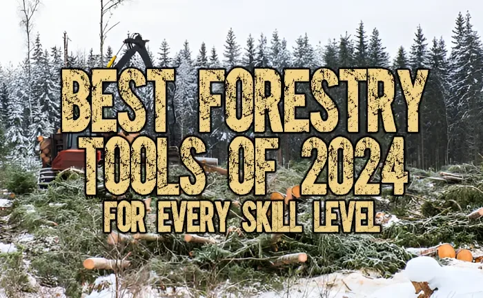 Best Forestry Tools of 2024 for Every Skill Level