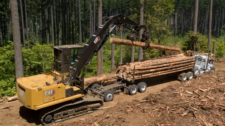 CAT forestry excavator loading logs onto a truck in a clear-cut area.
