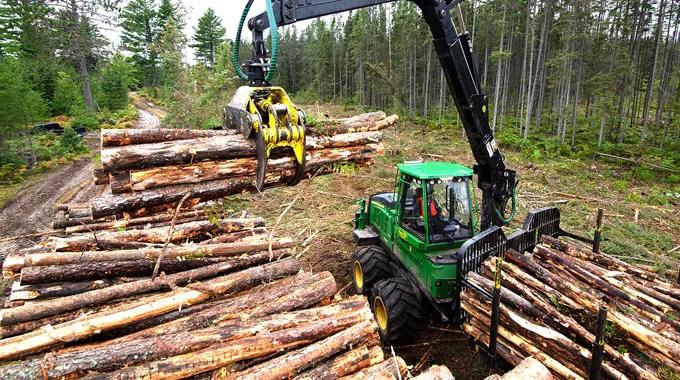 A forestry machine equipped with a hydraulic arm and claw is loading freshly cut logs onto a stack in a forest clearing. The machine, painted green, operates amidst a backdrop of tall trees and a dirt road, demonstrating modern timber harvesting techniques. 