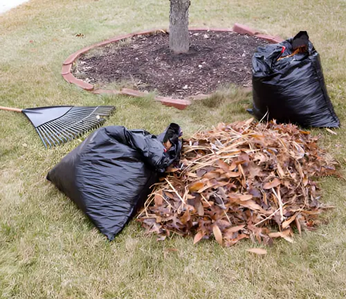 Raked leaves and yard waste in bags, illustrating the concept of fuel breaks.