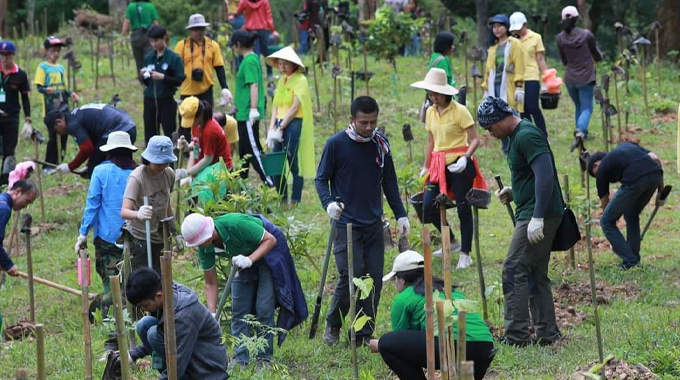 A group of people planting young trees in a field, participating in a community reforestation project. 