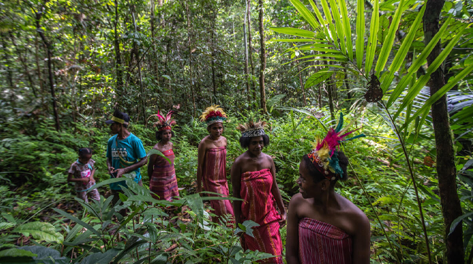 A group of indigenous people dressed in traditional attire walking through a lush, green forest, highlighting their deep connection with and knowledge of the natural environment.