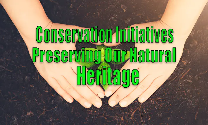 Conservation Initiatives Preserving Our Natural Heritage