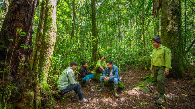 A group of people, some wearing uniforms, having a discussion while sitting and standing in a dense, lush forest, highlighting a collaborative effort in forest management or conservation activities.