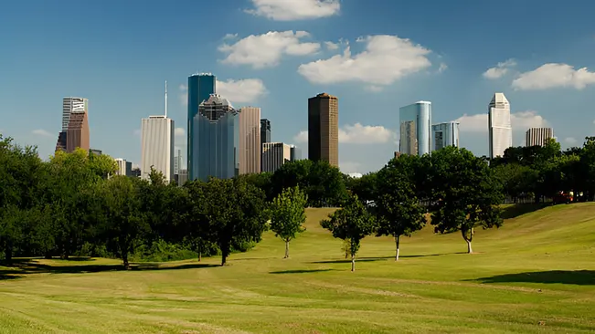 An urban park with trees and grass against a city skyline, illustrating the role of urban foresters and forest jobs.