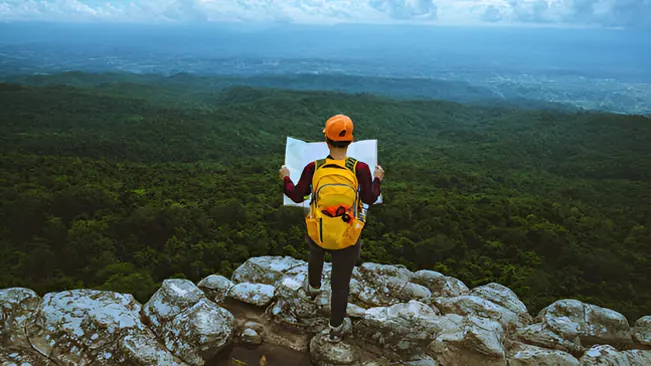 An environmental planner stands on a rocky cliff with a map, overlooking a vast forest landscape.