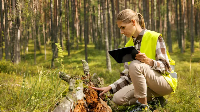 A woman conducting a forest health assessment as part of her forestry career.