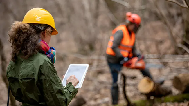 A woman in a hard hat using a tablet to conduct forestry research while a colleague operates a chainsaw.