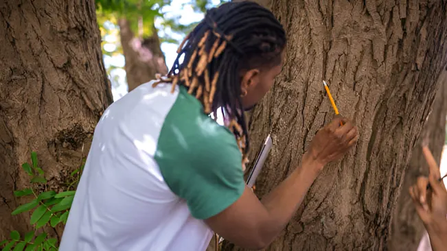 A forester uses a pencil to take detailed notes on a tree, demonstrating analytical thinking.
