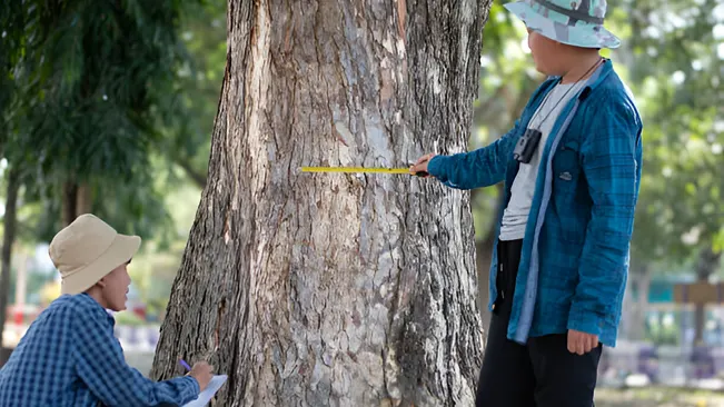 Two people measuring a tree and taking notes, demonstrating continuing education and lifelong learning in forestry.
