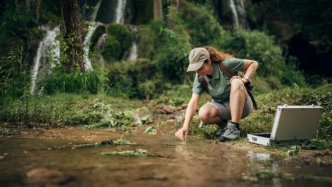 Forest ecologist collecting water samples for environmental research and analysis.