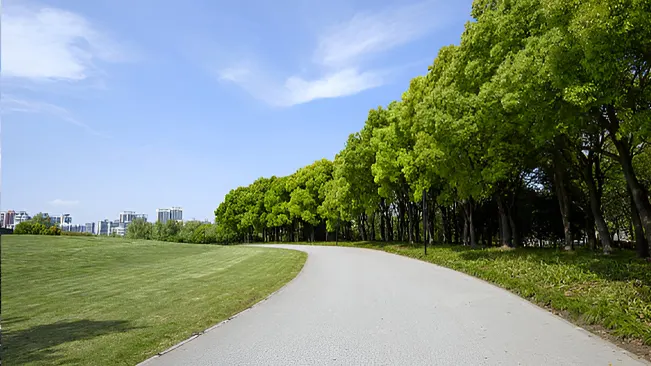 Urban forester managing and maintaining city green spaces and trees.