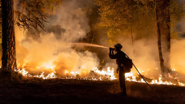 A forest firefighter battling a wildfire to protect the forest ecosystem.