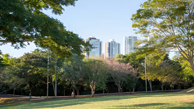 A park with trees in an urban setting, illustrating the concept of urban forestry.