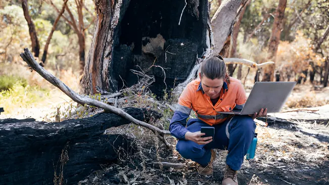 A forest manager using a laptop and smartphone to monitor forest conditions, illustrating the use of technology in monitoring.