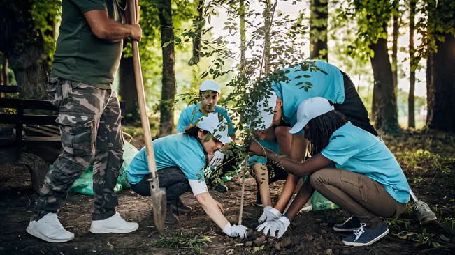 Volunteers working together to plant a tree, showcasing community involvement in tree planting.