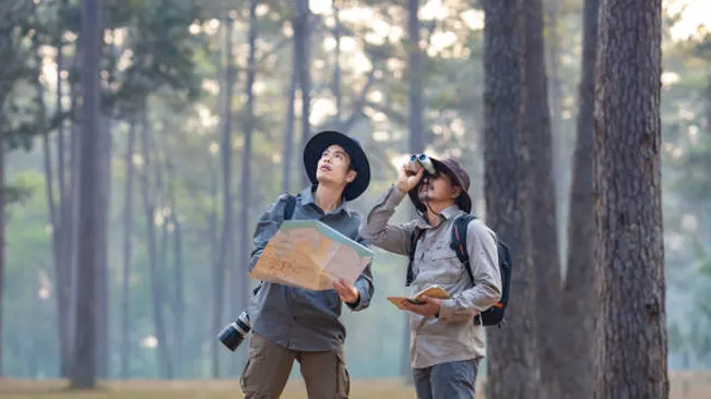 Two forest managers using binoculars and maps to practice sustainable forest management.