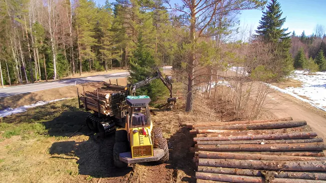 An image showing timber harvesting methods with machinery processing and transporting logs in a forest.