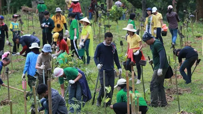 Community involvement in forestry ensures sustainable practices and ecological balance.