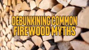 Debunking Common Firewood Myths
