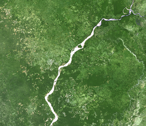 A satellite image showing a dense green forest landscape intersected by a winding river running diagonally from the bottom left to the top right of the image. 