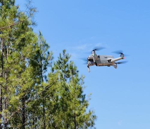 A drone flying over a forested area, capturing aerial data and images of the treetops against a clear blue sky, demonstrating its use in monitoring and managing forest health.