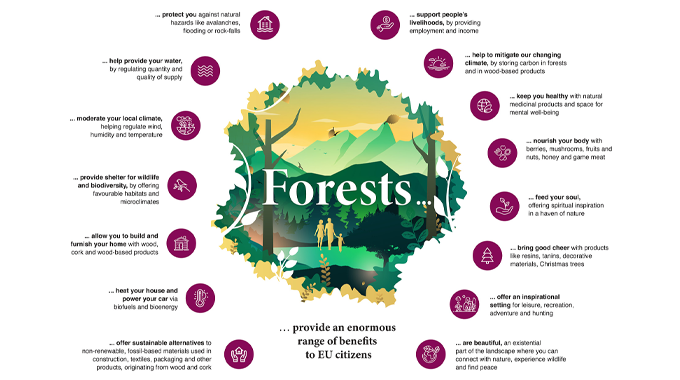 An infographic highlighting the numerous benefits of forests for EU citizens.