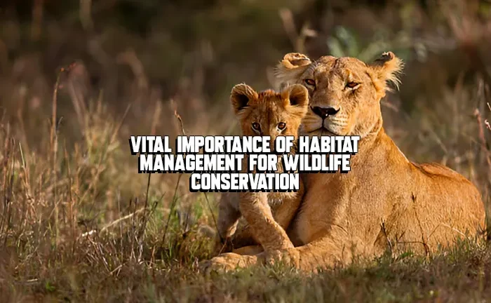 Vital Importance of Habitat Management for Wildlife Conservation