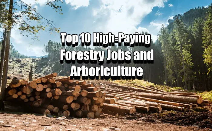 Top 10 High-Paying Arboriculture and Forestry Jobs