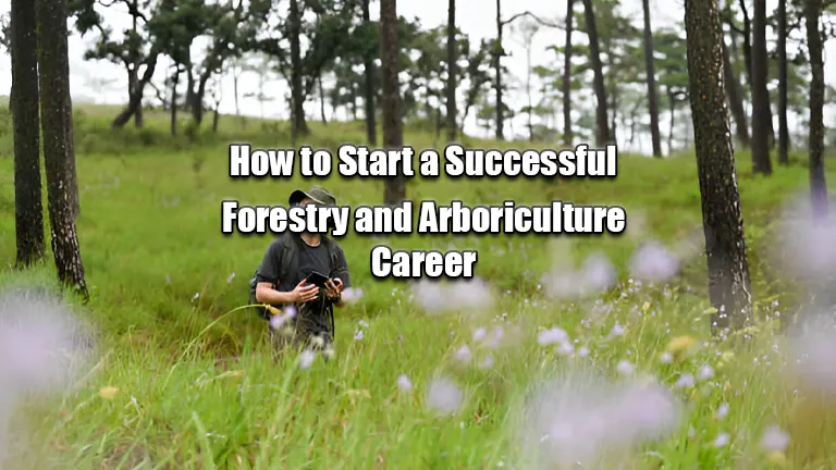 How to Start a Successful Forestry and Arboriculture Career