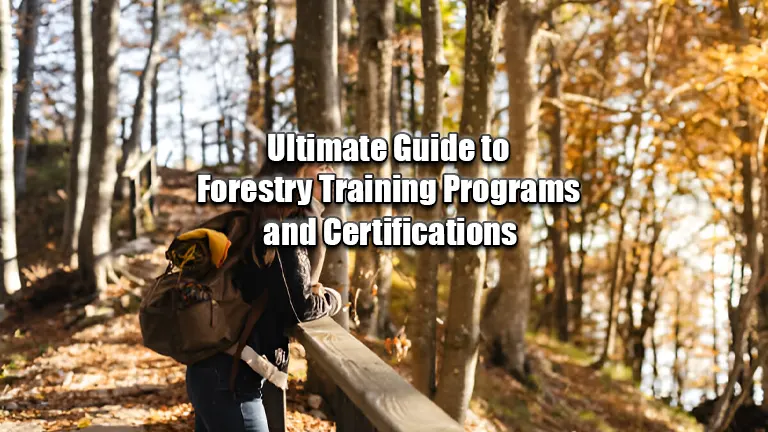 Ultimate Guide to Forestry Training and Certifications