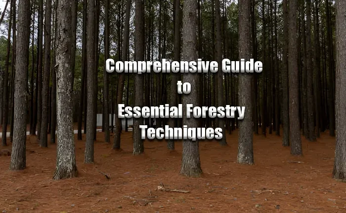 Essential Forestry Techniques: A Comprehensive Guide