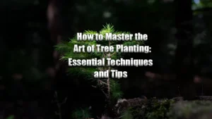 How to Master the Art of Tree Planting: Essential Techniques and Tips featured image