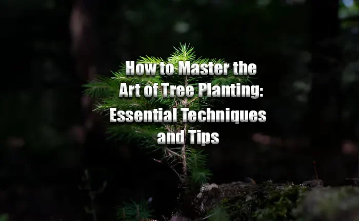 How to Master Tree Planting: Tips & Techniques