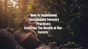 How to Implement Sustainable Forestry Practices: Ensuring The Health of Our Forests featured image