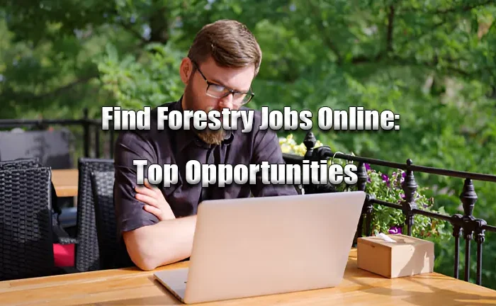 Find Forestry Jobs Online: Top Opportunities