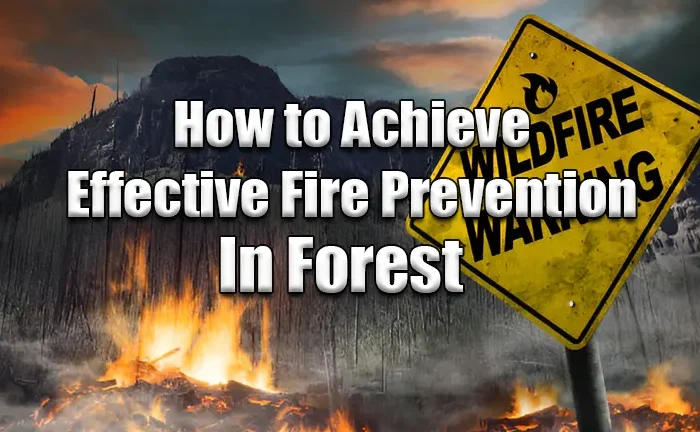 How to Achieve Effective Fire Prevention in Forests