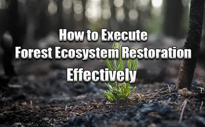 How to Execute Forest Ecosystem Restoration Effectively