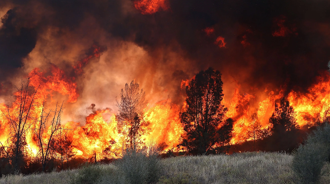 A large wildfire burning intensely through a forested area. Tall flames engulf trees, with thick smoke billowing into the sky, illustrating the destructive power of forest fires and the urgent need for effective fire management strategies