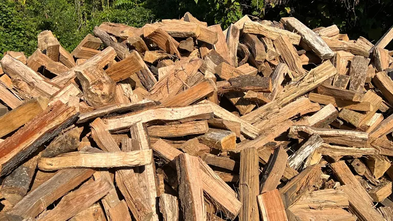 Pile of chopped firewood in sunlight.