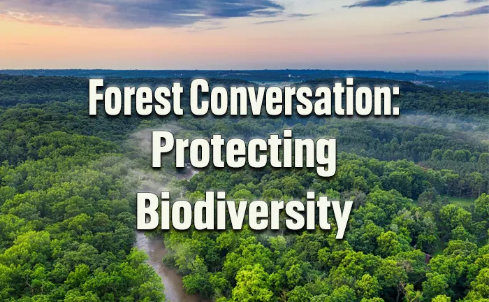 8 Forest Conservation: Protecting Biodiversity