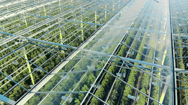 Green plantations shot through the transparent ceiling