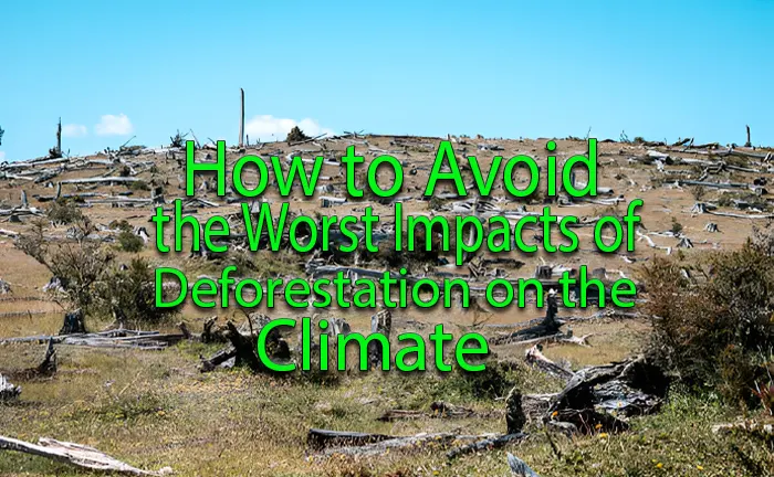 How Can We Avoid Deforestation’s Worst Climate Impacts?