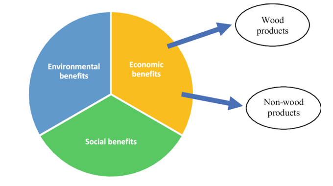 A pie chart illustrating the benefits of forests, divided into three sections: Environmental benefits (blue), Economic benefits (yellow), and Social benefits (green).