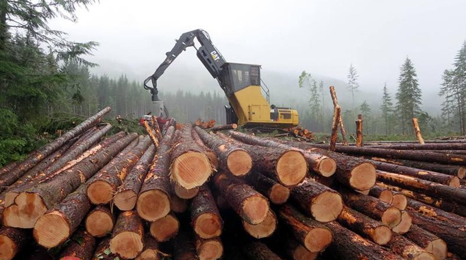 A logging machine is stacking cut logs in a forested area with mist and trees in the background.