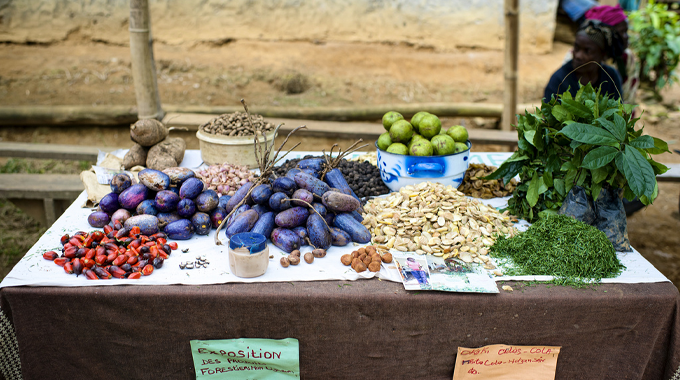 "A table display at a market featuring a variety of non-timber forest products, including fruits, nuts, seeds, leafy greens, and tubers. The table is set outdoors with signs indicating the items 