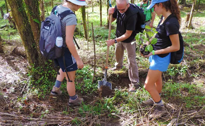 Three people planting a tree in a forest as part of conservation efforts.