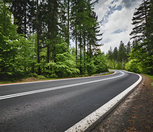 Road in forest